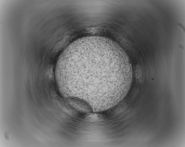 X0000102410611200808221913