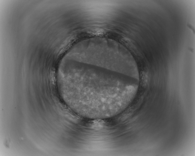 X0000102410612200808221913