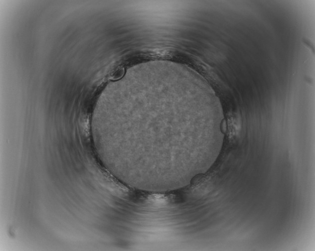 X0000102410613200808221913