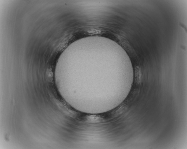 X0000102410614200808221913