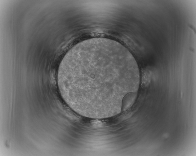 X0000102410616200808221913