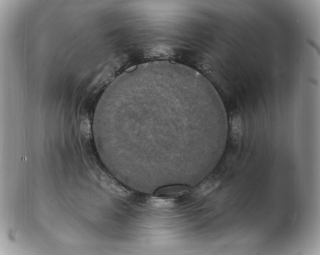 X0000102410617200808221913