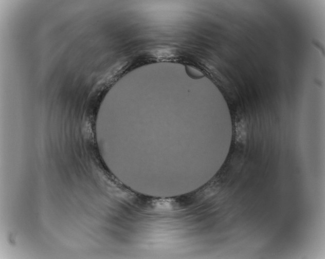 X0000102410618200808221913