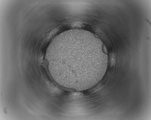 X0000102410619200808221913