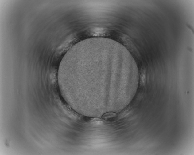 X0000102410620200808221913