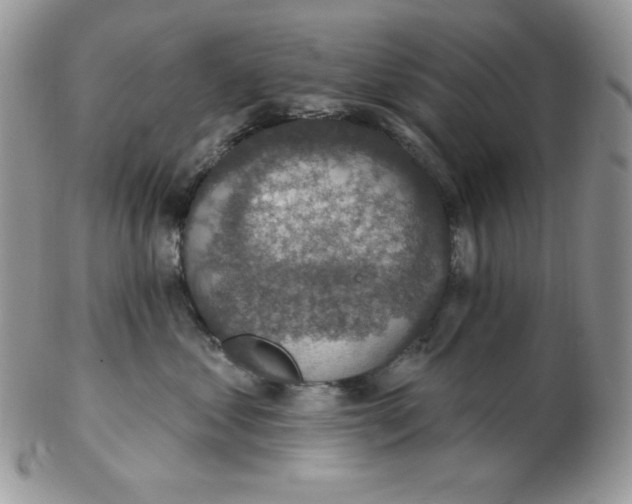 X0000102410621200808221913