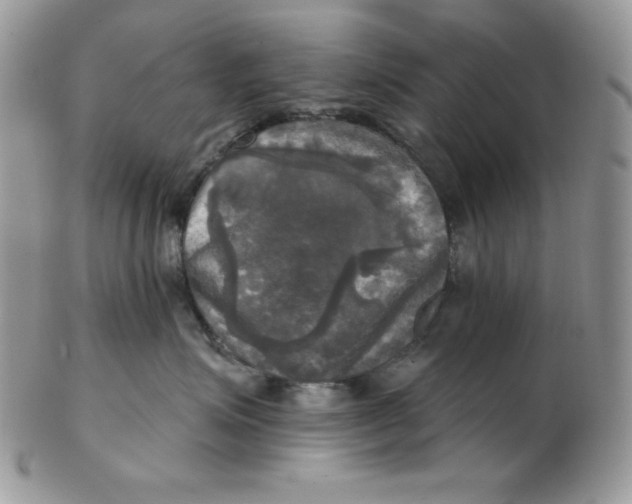 X0000102410623200808221913