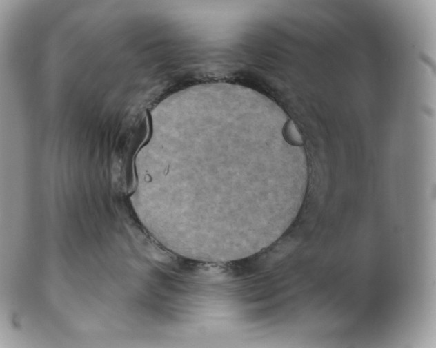 X0000102410624200808221913