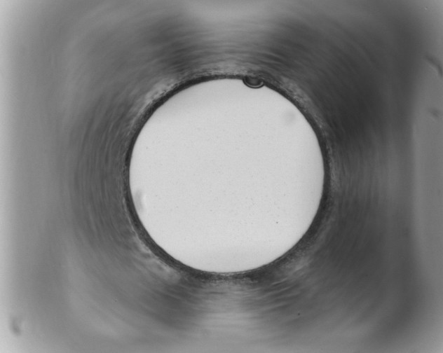 X0000102410625200808221912