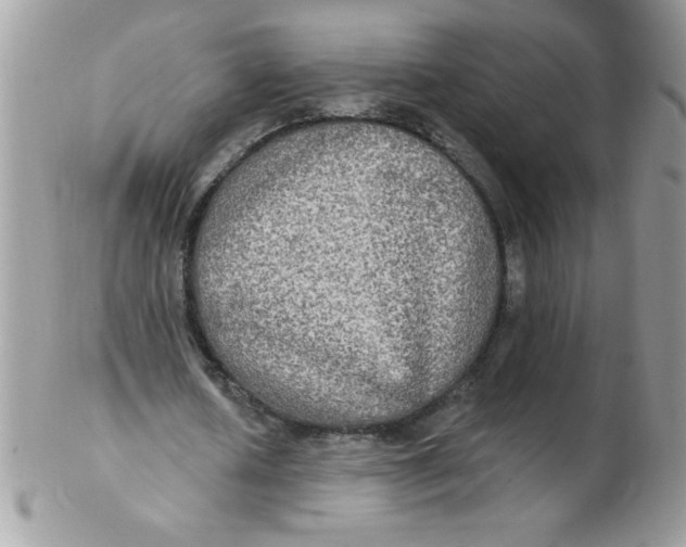 X0000102410626200808221912