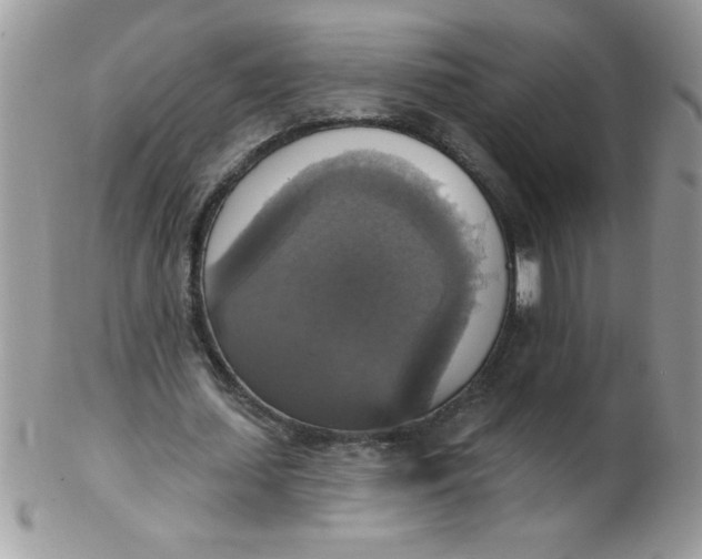 X0000102410627200808221912