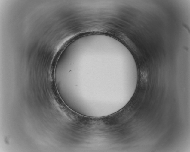 X0000102410628200808221912