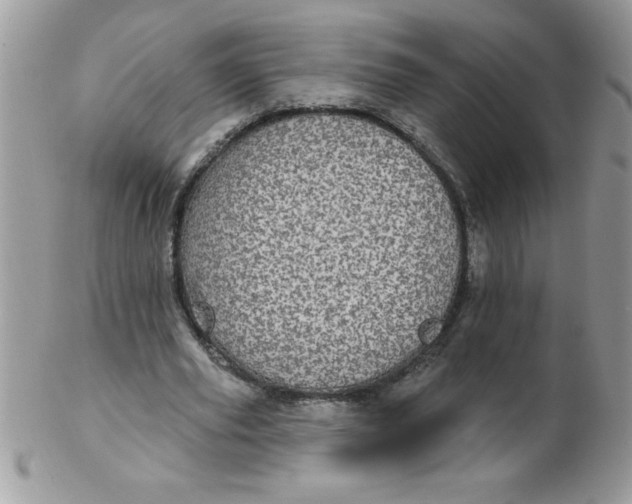 X0000102410629200808221912