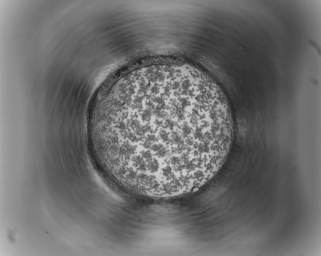 X0000102410630200808221912