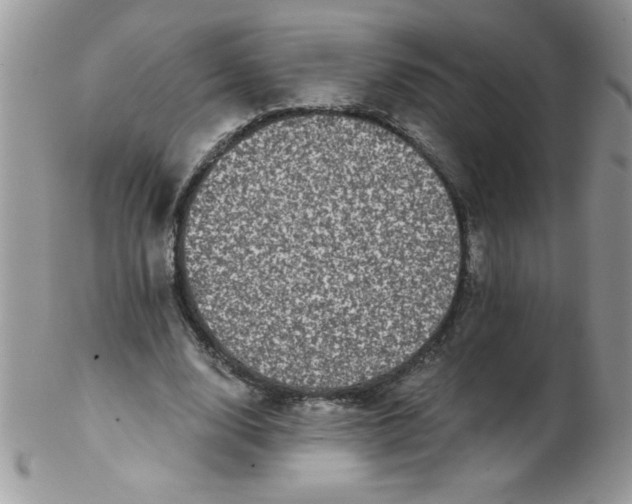 X0000102410632200808221912