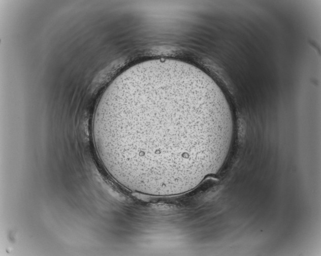 X0000102410633200808221912