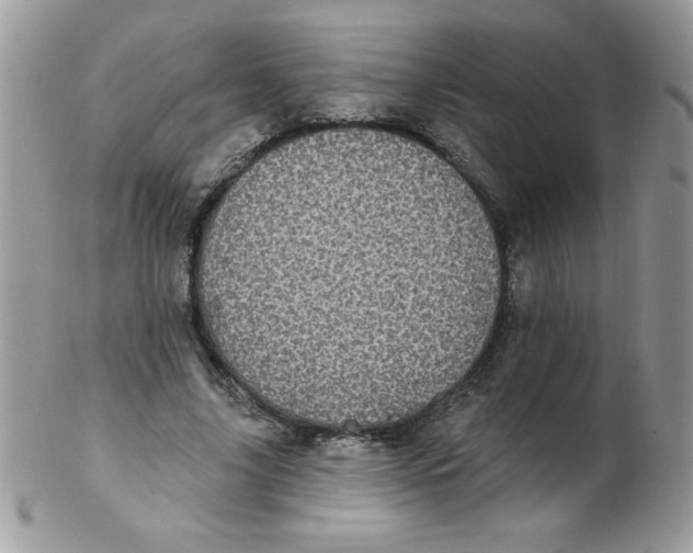 X0000102410635200808221912