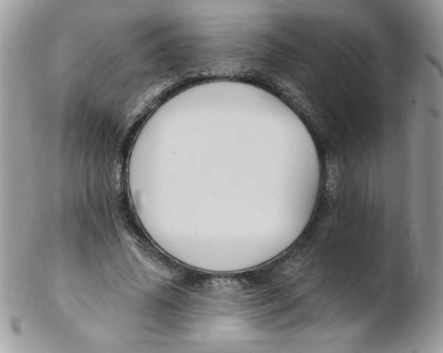 X0000102410636200808221912