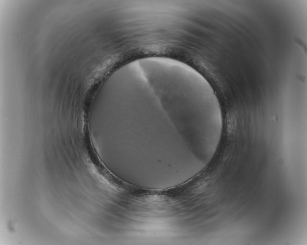 X0000102410637200808221912