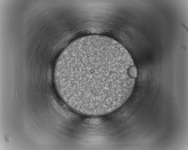 X0000102410639200808221912