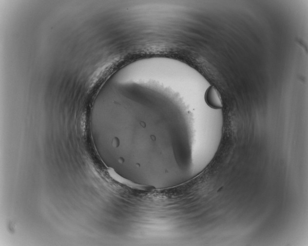 X0000102410640200808221912