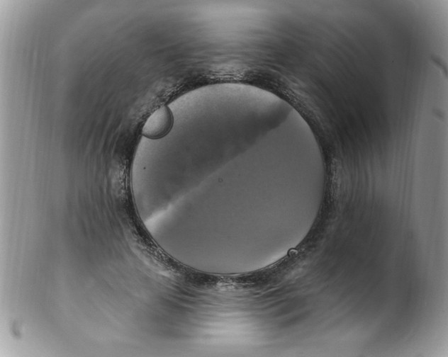 X0000102410641200808221912