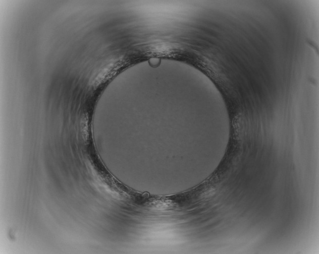 X0000102410642200808221912