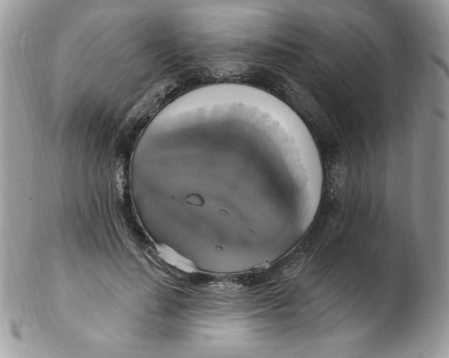 X0000102410644200808221912