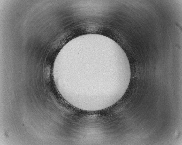 X0000102410646200808221912