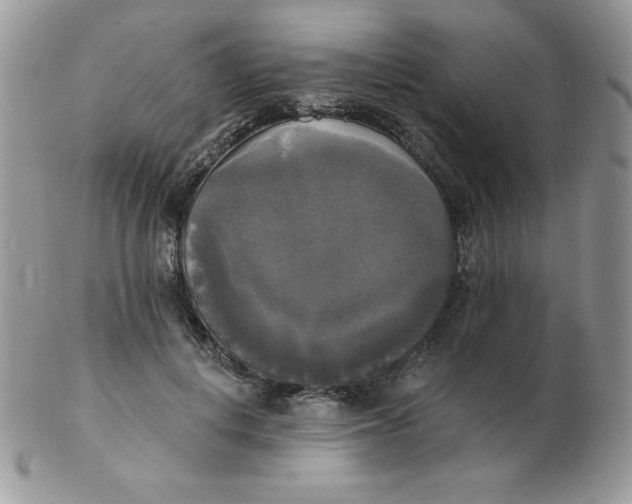 X0000102410648200808221912