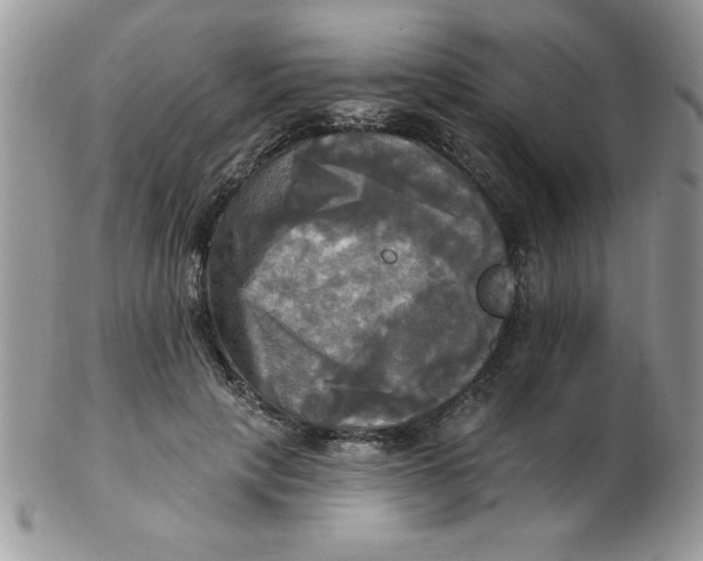 X0000102410649200808221912