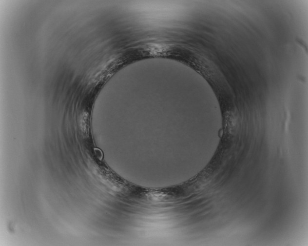 X0000102410650200808221912