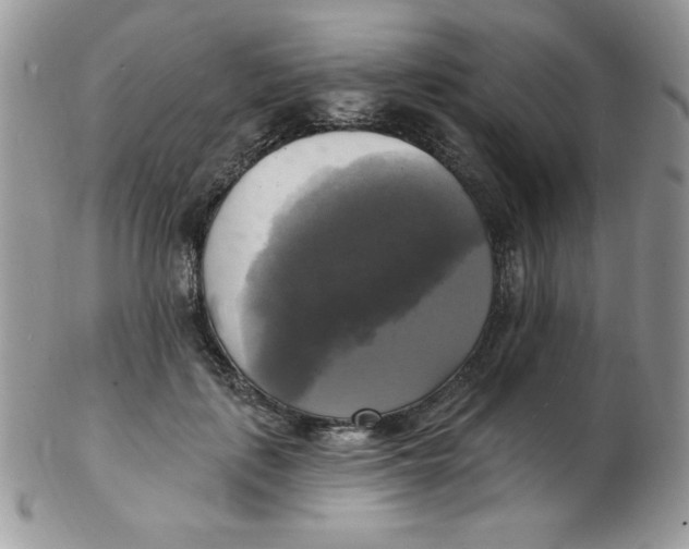 X0000102410651200808221912