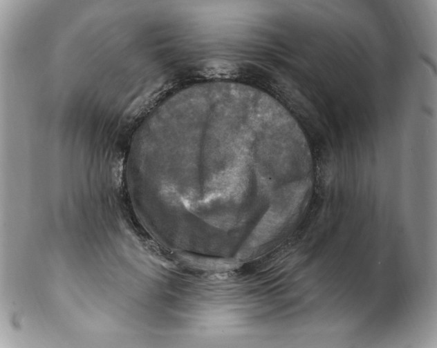 X0000102410652200808221912