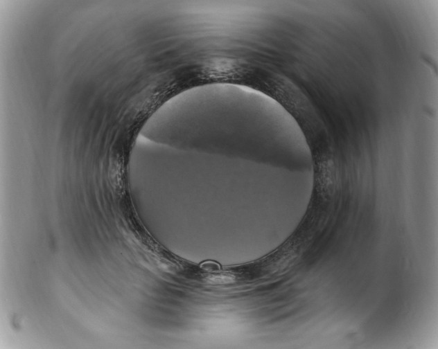 X0000102410653200808221912