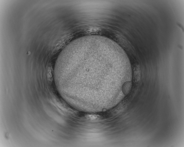 X0000102410654200808221912