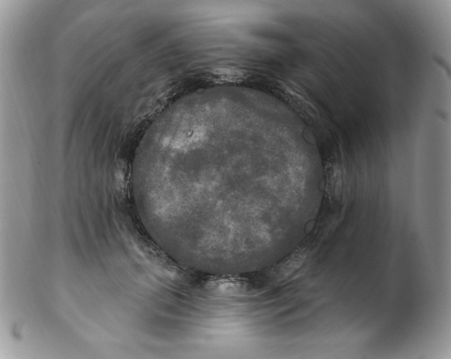 X0000102410655200808221912