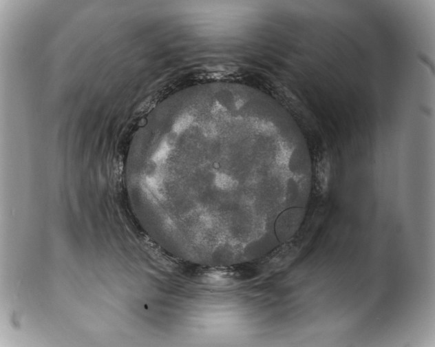 X0000102410657200808221912