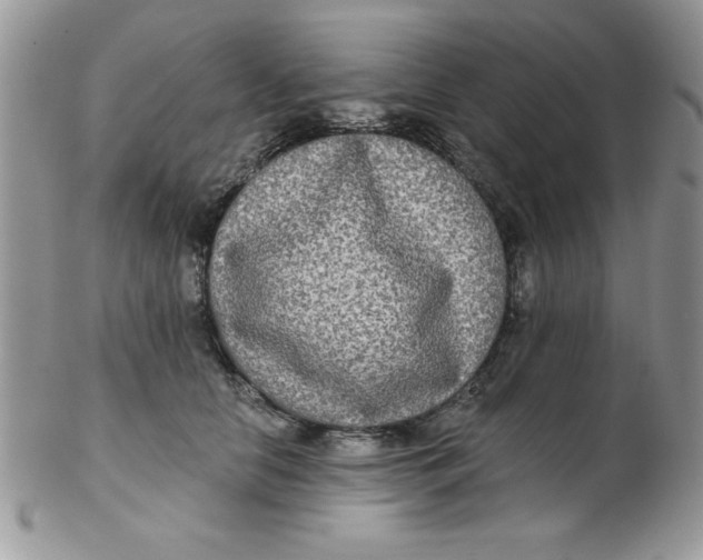 X0000102410658200808221913