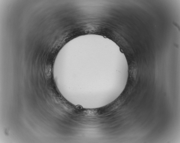 X0000102410660200808221913