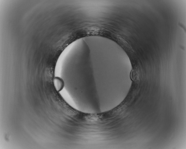 X0000102410661200808221913