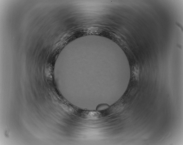 X0000102410663200808221913