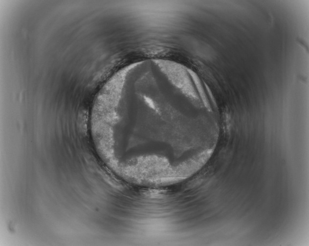 X0000102410664200808221913