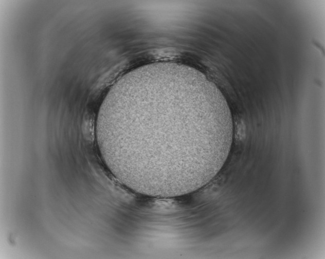 X0000102410666200808221913