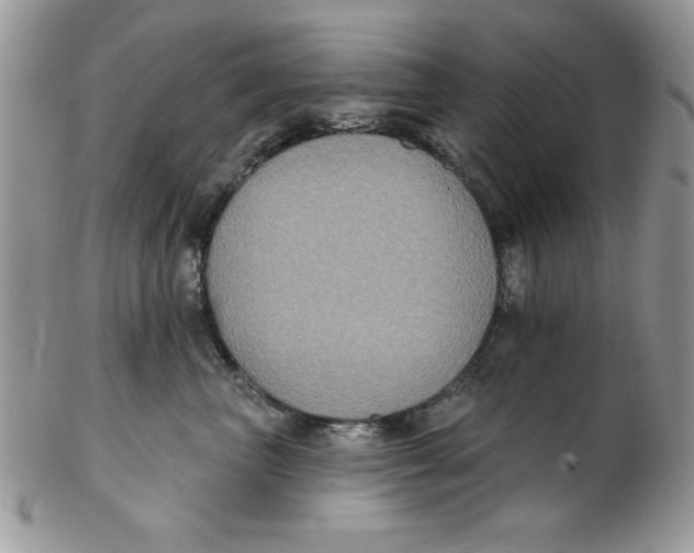 X0000102410667200808221913