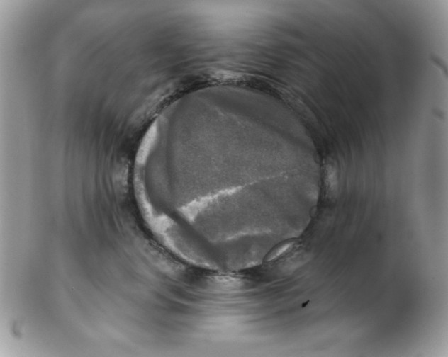 X0000102410668200808221913