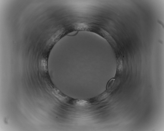 X0000102410669200808221913