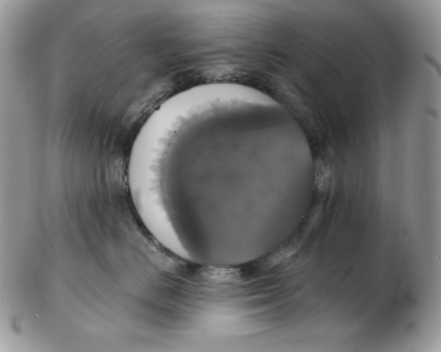 X0000102410670200808221913