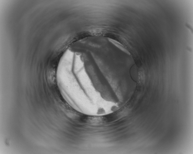 X0000102410671200808221913