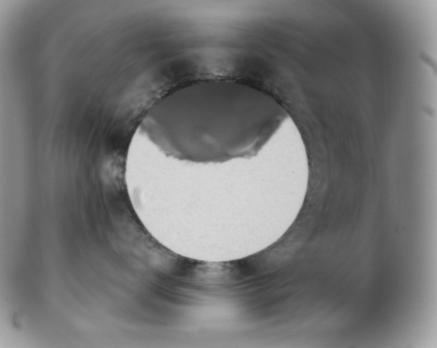 X0000102410672200808221913